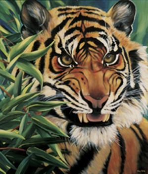 "Wild By Nature"