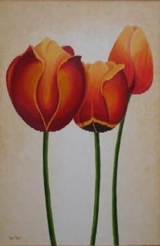 "Tulips"