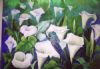 "Field of Purity"