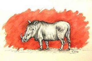 "Warthog 2 Charcoal Sketch"