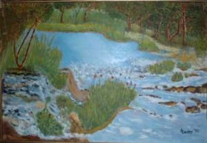 "Stream in Dullstroom"