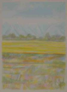 "Zebra Landscape: With Snow and Mustard Fields"