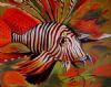 "lion fish"