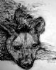 "Hyena Series 1"