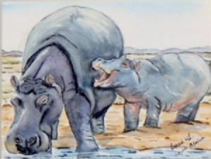 "Hippopotamus & Calf"