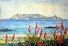 "Aloe and Table Mountain"