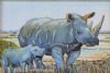 "Rhino and calf"