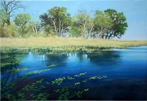 "Okavango Delta"