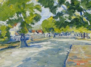 "Boom St. Pietermaritzburg"