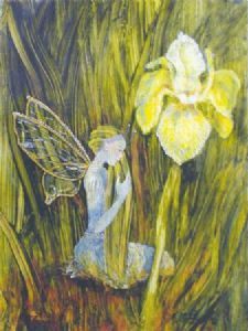 "Fairies Series: Yellow Iris"