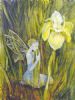 "Fairies Series: Yellow Iris"