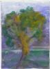 "C - Tree 1 of 2"