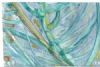 "B - Tranquility Fynbos 3/3"