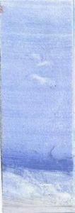 "Table Mountain Whales 3/4"