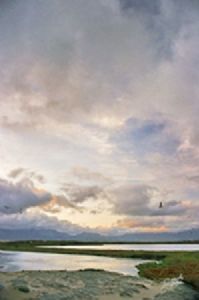 "Storm Vlei"