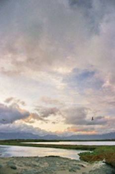 "Storm Vlei"