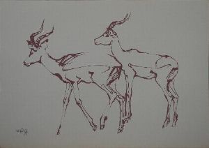 "2 Rooibokke"