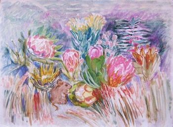"Proteaceae"