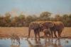 "At the Waterhole"