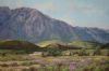 "Farm Near Franschoek"