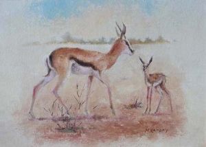 "Springbok"