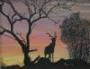 "Kudu at Sunset"