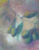 "Eucalyptus Seeds Set 2/2"