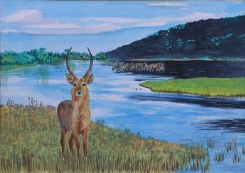 "Waterbuck and Elephants"