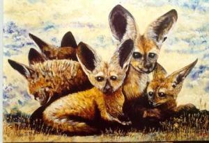 "Bat-eared foxes"
