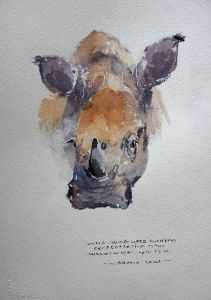 "Illustration Young White Rhino"
