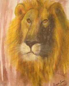 "Kgalagadi Lion"