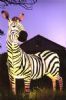 "Life Size Zebra"