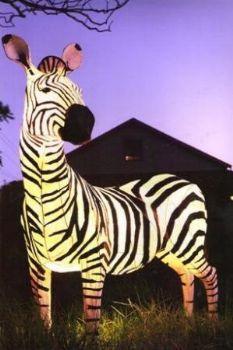 "Life Size Zebra"