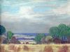 "Bushveld"