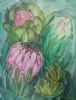 "Fynbos 1"
