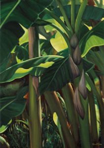 "Banana Trees"