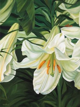 "St Joseph Lily 2"