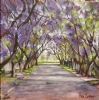 "Purple Canopy"