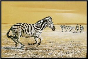 "Zebra Running"