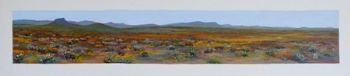 "Karoo Panorama"