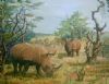 "White Rhino"