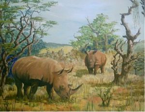 "White Rhino"