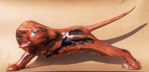 "Red Dog 2"
