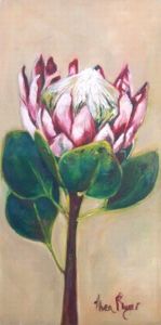 "My Protea"