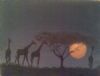 "Giraffes-Kameelperde"