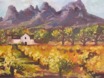 "Stellenbosch winelands"