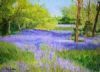 "Bluebell Wood Kew"