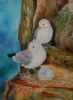 "Terns"