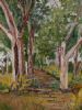 "Forest Pathway"