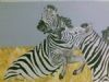"Zebras playing"